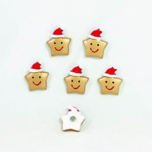 Magneet Kerst Ster