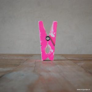 magneet wasknijper vintage roze magneetjeswinkel ede