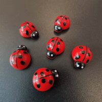 Koelkastmagneet Lieveheersbeestjes 2 Koelkastmagneetjes in de vorm van lieveheersbeestjes, rood met zwarte stippen