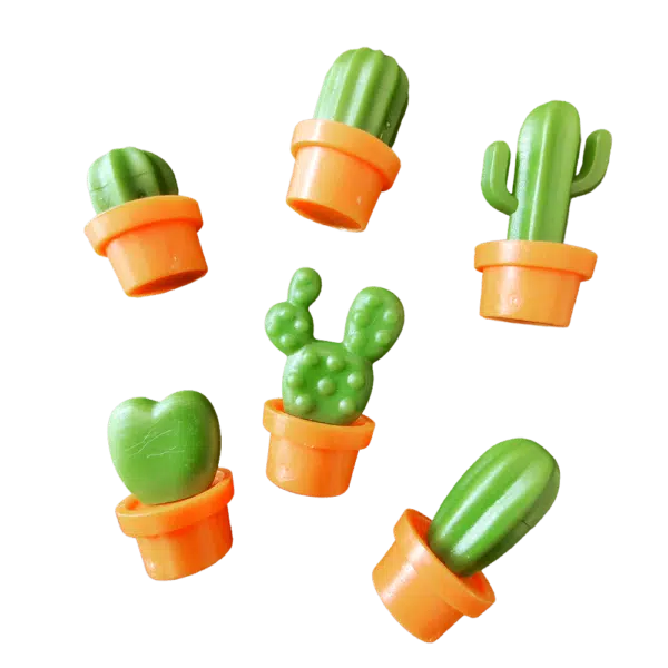Koelkastmagneten van zes verschillende kleine cactus in een terracotta kleur potje