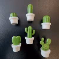 Koelkastmagneetjes Cactus in pot (Neodymium) 3 een groep koelkastmagneten van kleine cactussen in witte potten