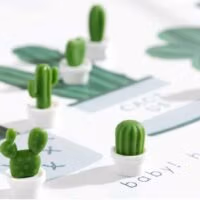 Koelkastmagneetjes Cactus in pot (Neodymium) 5 Koelkastmagneetjes in een wit potje en zes verschillende cactussen