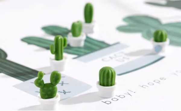 Koelkastmagneetjes in een wit potje en zes verschillende cactussen