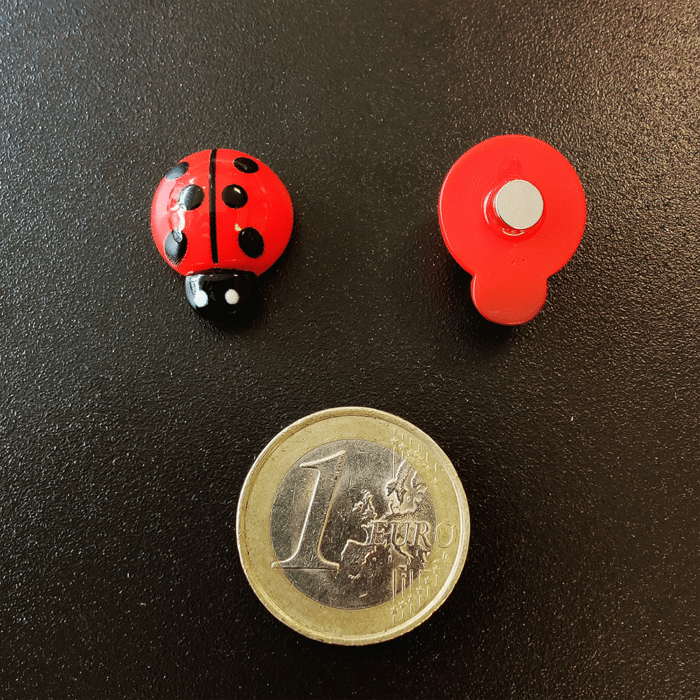 Twee rode lieveheersbeestjes met zwarte stippen en op de onderkant een sterk magneetje