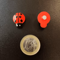 Koelkastmagneet Lieveheersbeestjes 3 Twee rode lieveheersbeestjes met zwarte stippen en op de onderkant een sterk magneetje
