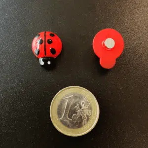 Koelkastmagneet Lieveheersbeestjes 4 Twee rode lieveheersbeestjes met zwarte stippen en op de onderkant een sterk magneetje