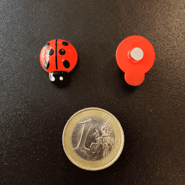 Twee rode lieveheersbeestjes met zwarte stippen en op de onderkant een sterk magneetje