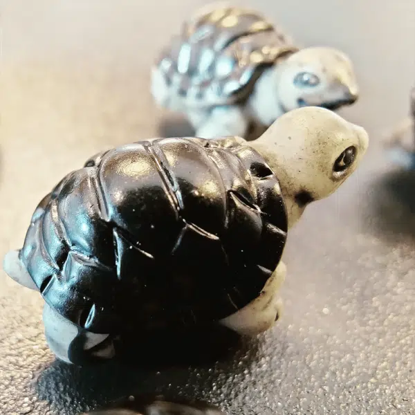 Lieve schildpadjes met een magneetje om kaarten of foto's op te hangen