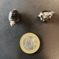Schildpadjes met magneetjes om als koelkastmagneet te gebruiken