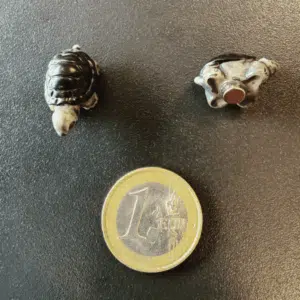 Koelkastmagneet Schildpad 6 stuks 4 Schildpadjes met magneetjes om als koelkastmagneet te gebruiken