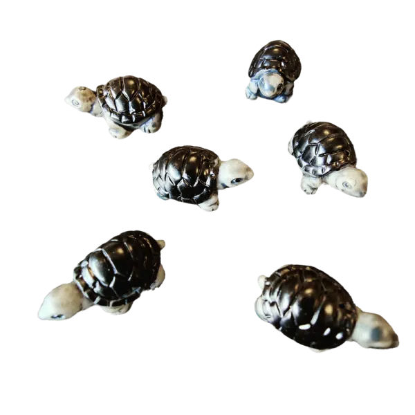 Koelkastmagneet Schildpad zijn vijf kleine schildpadjes met een magneetje