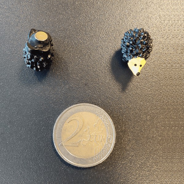 maat van de koelkastmagneet egeltjes