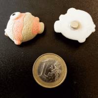 Koelkastmagneten Vissen - 5 stuks (Neodymium) op een zwart magneetbord