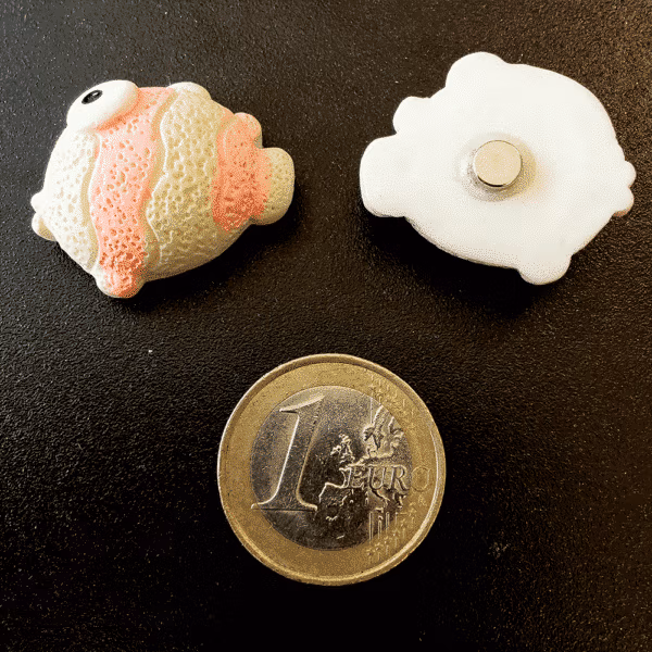 Koelkastmagneten Vissen - 5 stuks (Neodymium) op een zwart magneetbord