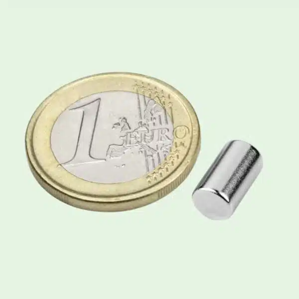 Staafmagneet 6 x 10 mm