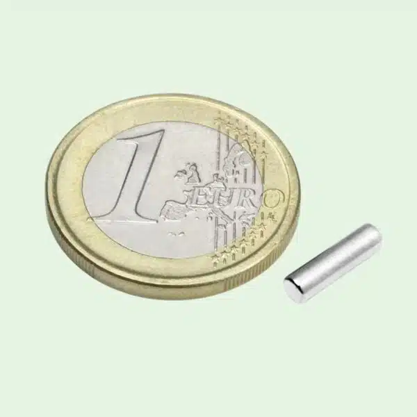 Staafmagneetjes 3 x 10 mm