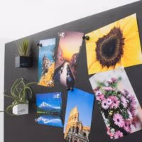 Push Pin magneten zwart / transparant 5 Magneetbord met ansichtkaarten en twee magnetische bakjes met luchtplantjes