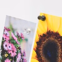 Twee ansichtkaarten vastgehouden door een magneetpin