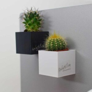 Magnetische (planten) pot 'Cube' 4cm van KalaMitica - meerdere kleuren 2 Twee magnetische (planten) potten met een cactus op een grijs magneetbord