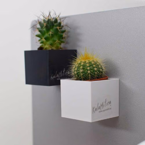 Twee magnetische (planten) potten met een cactus op een grijs magneetbord