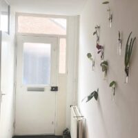 magnetische vaasjes bij klant op de muur in de gang