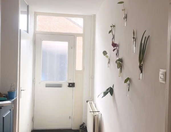 magnetische vaasjes bij klant op de muur in de gang