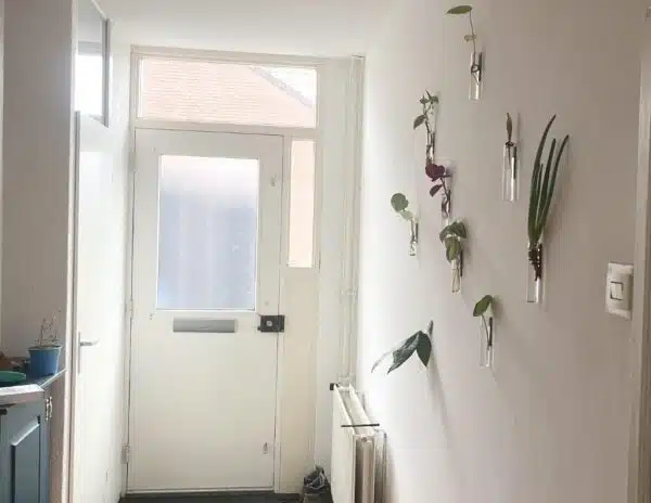 magnetische vaasjes bij klant op de muur in de gang