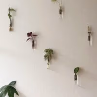 magnetische vaasjes op de muur geplakt door het gebruik van magneetband