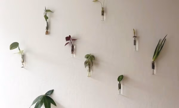 magnetische vaasjes op de muur geplakt door het gebruik van magneetband