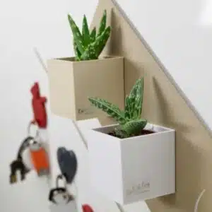 Magnetische (planten) pot ‘Cube’ 6cm van KalaMitica – meerdere kleuren 4 Magnetisch bakje 6 cm op beige smal magneetbord