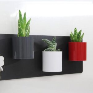 Magnetisch bakje cilinder 6 cm van KalaMitica - meerdere kleuren 2 Drie cilindervormige magnetische bakjes met cactusplantjes op een langwerpig zwart magneetbord