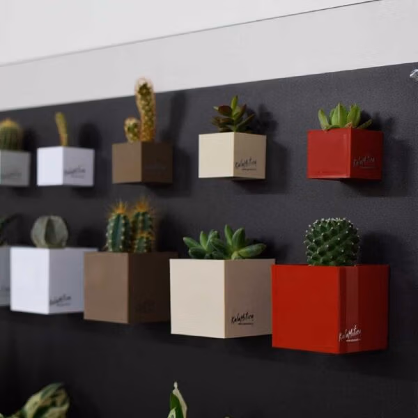 Magnetisch bakje in veel maten en kleuren op zwart magneetbord
