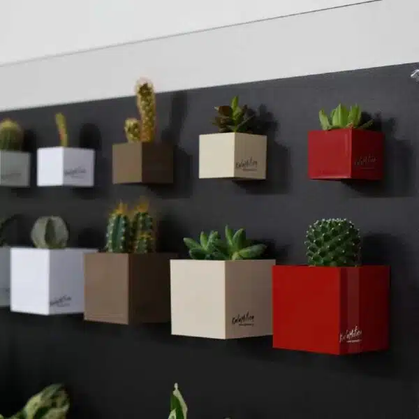 Magnetisch bakje in veel maten en kleuren op zwart magneetbord