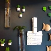 Zwart magneetbord met leuke magneten en twee magnetische vaasjes met stekjes van een pannenkoekenplant