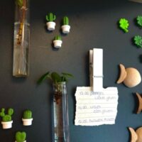 Koelkastmagneten Klavertje Vier 5 Zwart magneetbord met leuke magneten en twee magnetische vaasjes met stekjes van een pannenkoekenplant