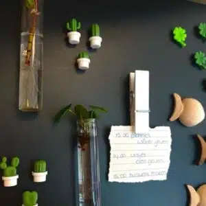 Magnetisch vaasje (reageerbuis met magneet) 3 Zwart magneetbord met leuke magneten en twee magnetische vaasjes met stekjes van een pannenkoekenplant