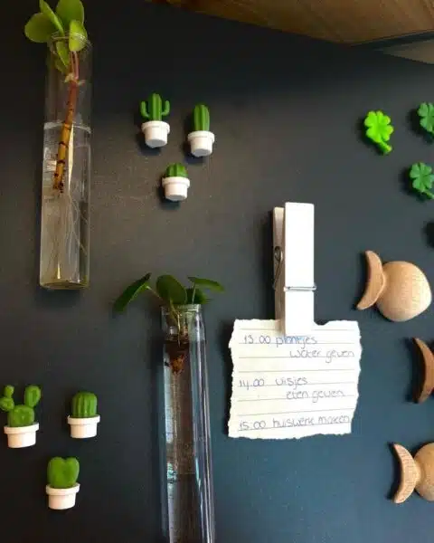 Zwart magneetbord met leuke magneten en twee magnetische vaasjes met stekjes van een pannenkoekenplant