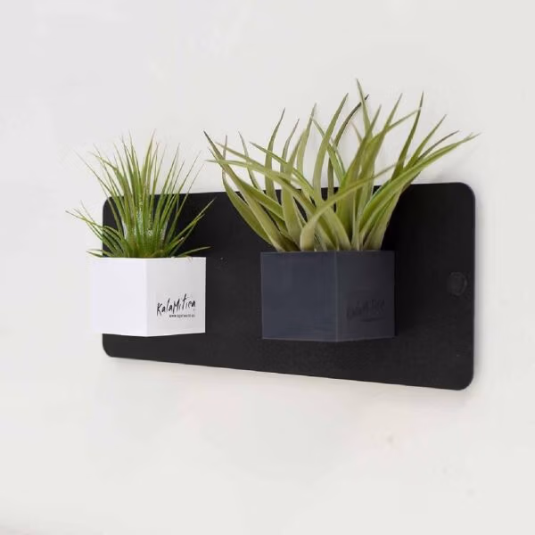 Klein Magnetisch krijtbord en magneetbord van 9x25mm in het zwart met een wit vierkant magnetisch bakje en een donkergrijs vierkant magnetisch bakje met daarin twee luchtplantjes