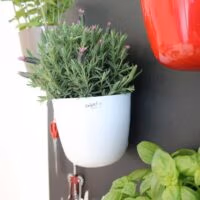 Magnetische ronde (planten) pot 15cm - meerdere kleuren 2 Magnetische plantenpot en andere magnetische bakjes met kruiden zoals lavendel