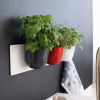 Magnetische ronde (planten) pot 15cm - meerdere kleuren 4 Magnetische plantenpot op magneetbord KalaMitica accessoires e1733390757828