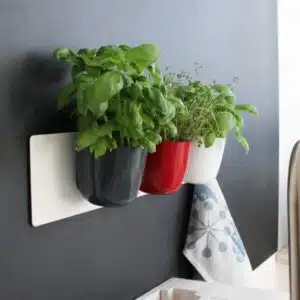 Magnetische ronde (planten) pot 15cm - meerdere kleuren 4 Magnetische plantenpot op magneetbord KalaMitica accessoires e1733390757828