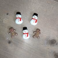 Wintermagneetjes vijf stuks