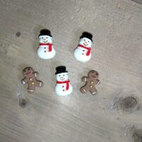 Wintermagneetjes vijf stuks