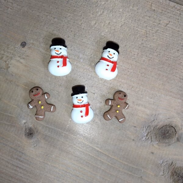 Wintermagneetjes vijf stuks