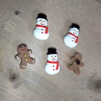 Wintermagneetjes vijf stuks met sneeuwpop koelkastmagneet en ginger bread