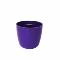 Magnetisch bakje rond violet 6cm