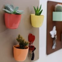 Magnetische potjes van 6 cm doorsnede voor op KalaMitica magneetborden e1733325301922