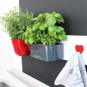 Magnetisch bakje langwerpig 22cm van KalaMitica - meerdere kleuren 6 magnetisch bakje van 22 cm met sterke magneet dus perfect voor plantjes of kruiden