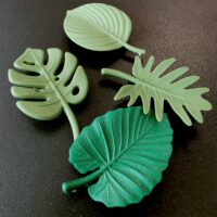 Vier kamerplant bladeren met een magneetje op de achterzijde zodat het gebruikt wordt als koelkastmagneet