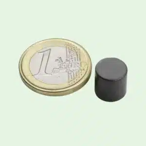 Schijfmagneet Ferriet 10 x 10 mm (Trekkracht ca. 400 gram) 2 Ferriet magneet 10 x 10 mm